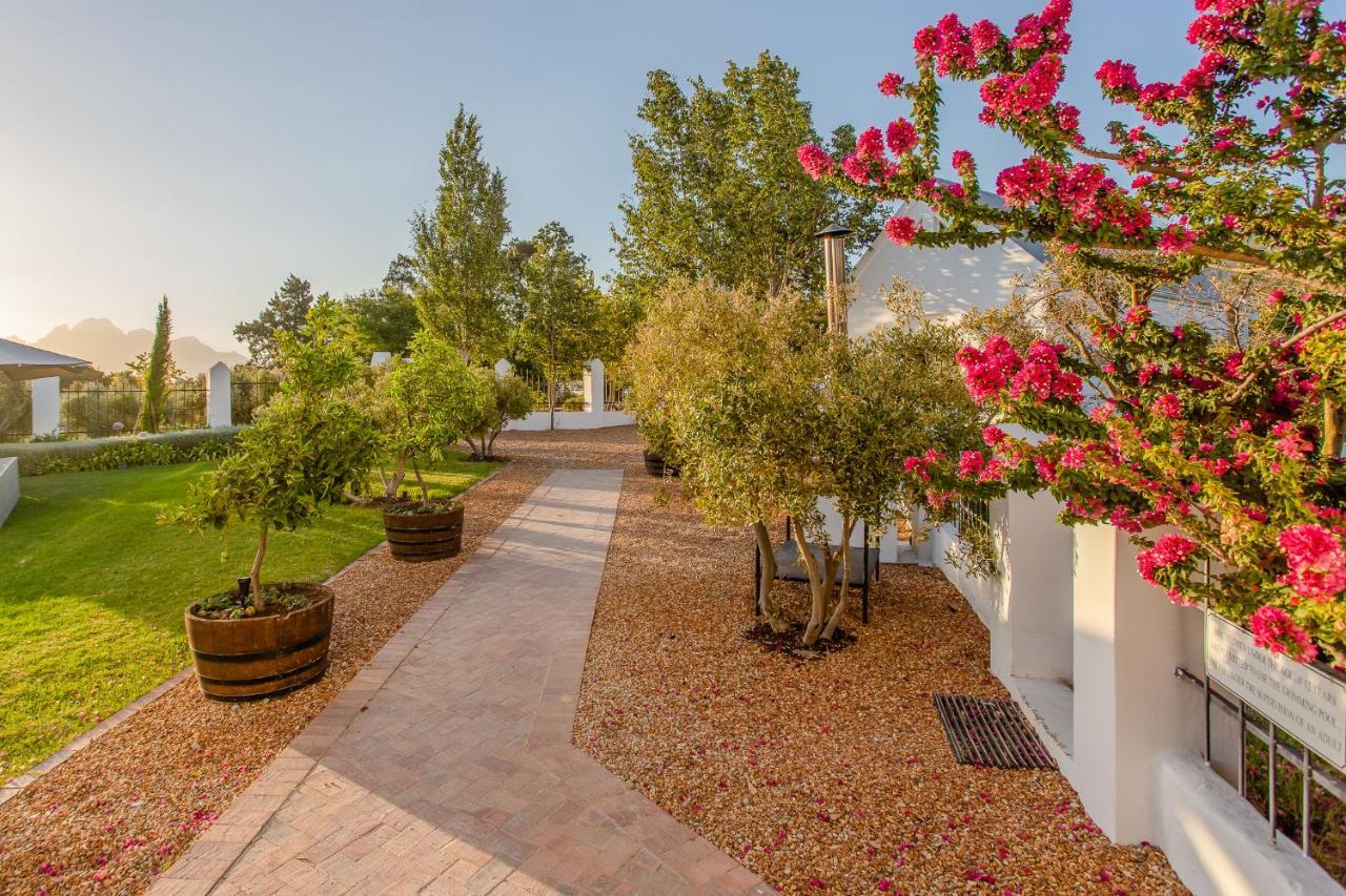Droom Guesthouse Franschhoek Exterior photo